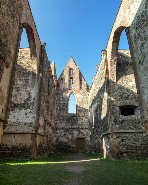 Rosa coeli, ruins of church and monastery, Dolni Kounice near Ivancice town, South Moravia, Czech Republic