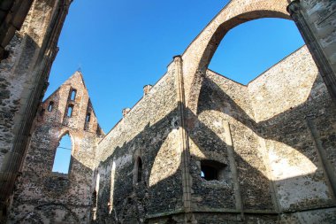 Rosa Coeli, kilise ve manastır kalıntıları, Ivancice kasabası yakınlarındaki Dolni Kounice, Güney Moravya, Çek Cumhuriyeti