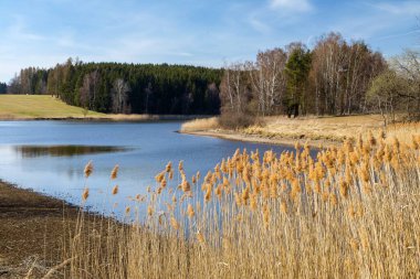 autumn view of pond with autumn forest landscape, Divka pond, Hamry nad Sazavou, Bohemian and Moravian highlands, Czech Republic 