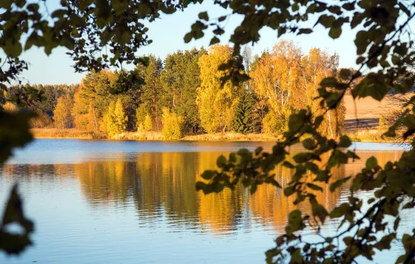 Herbst Blick Auf Teich Mit Reflexion Der Bunten Herbst Waldlandschaft — Stockfoto