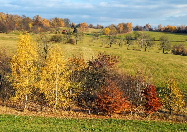 Autumny Scenery Bohemian Moravian Highland Czech Republic Europe — Stock Photo, Image