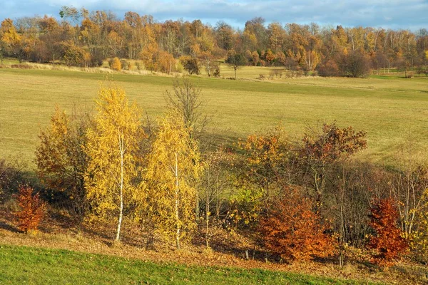 Herbstliche Landschaft Aus Dem Böhmischen Und Mährischen Hochland Tschechien Europa — Stockfoto