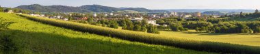 Sumperk kasabası ve tahıl tarlası, Jesenik dağlarından panoramik manzara, Moravya, Çek Cumhuriyeti