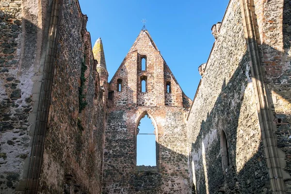 Rosa Coeli Ruins Church Monastery Dolni Kounice Ivancice Town South — Stock Photo, Image