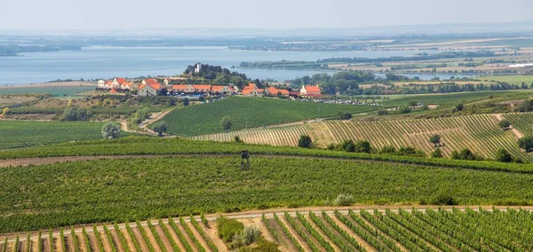 Vineyards和Zajeci村 从捷克共和国南摩拉维亚的Pritlucka Hora看 — 图库照片