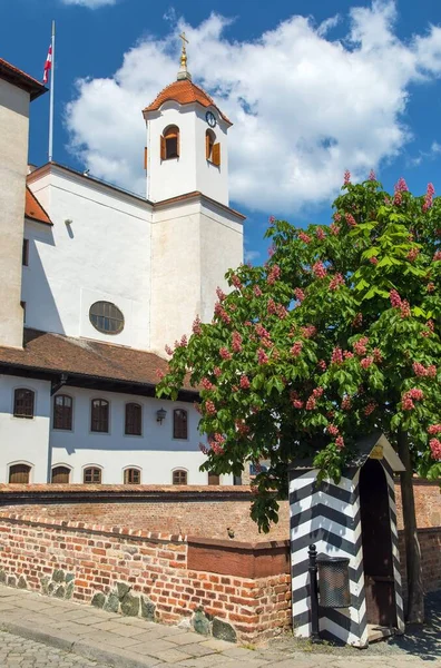 Spilberk Şatosu, Brno şehrinin ön planda pembe kestane ağacı olan anıtı, Moravya, Çek Cumhuriyeti