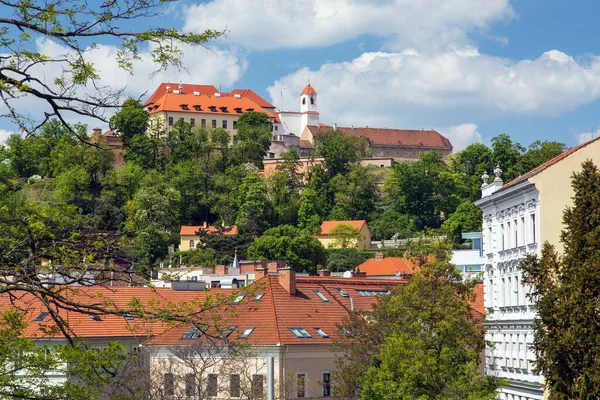 Spilberk Slott Monument Staden Brno Med Rosa Kastanj Träd Förgrunden — Stockfoto