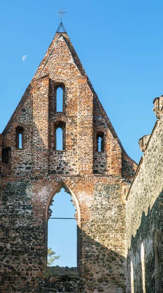 Rosa Coeli Ruinas Iglesia Monasterio Dolni Kounice Cerca Ciudad Ivancice —  Fotos de Stock