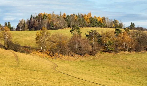 Herbstliche Landschaft Aus Dem Böhmischen Und Mährischen Hochland Tschechien Europa — Stockfoto