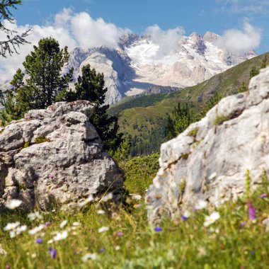 İtalya 'nın en yüksek Dolomitler dağı olan çiçeklerle kaplı Marmolada Tepesi manzarası