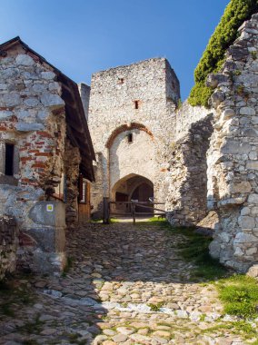 Yerel Hrad Klenov 'daki Klenova şatosu harabesi, Janovice nad Uhlavou, Çek Cumhuriyeti