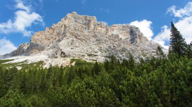 Ormanlı Monte Pelmo manzarası, Güney Tirol, Dolomiten dağları, İtalyan Avrupa Alpleri