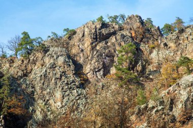 Sonbaharda Ketkovak veya Levnov ve oslavka Nehri (oslavka), Çek Cumhuriyeti