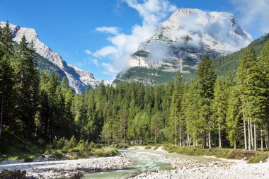 Valley Val Travenanzes and river Rio Travenanzes in Tofane gruppe with spruce forest, Alps Dolomites mountains, Fanes national park, Italy clipart