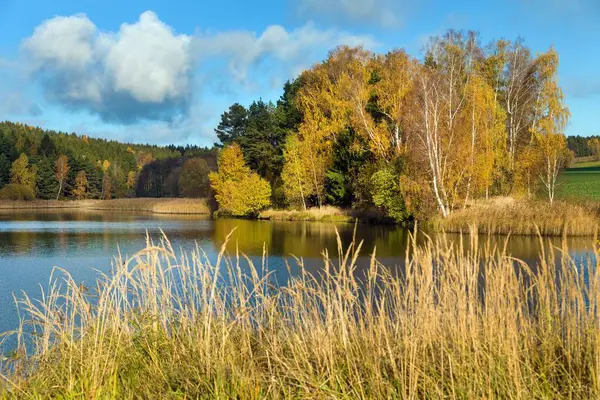 Sonbahar orman manzaralı gölet manzarası, Zdar nad Sazavou yakınlarındaki Hamry nad Sazavou, Bohemian ve Moravya dağları, Çek Cumhuriyeti