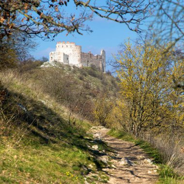 Devicky castle ruins, Pavlov hills, South Moravia, Czech Republic clipart