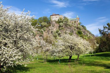 Kuneticka Hora Şatosu Pardubice kasabası yakınlarında kiraz ağaçlarının ortasında. Güzel Gotik tarzı şato, Çek Cumhuriyeti