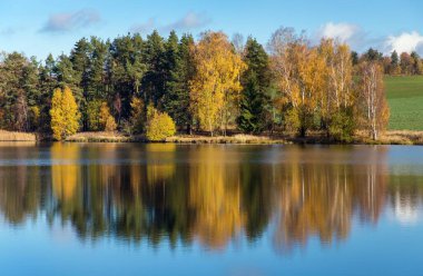 Sonbahar orman manzaralı gölet manzarası, Zdar nad Sazavou yakınlarındaki Hamry nad Sazavou, Bohemian ve Moravya dağları, Çek Cumhuriyeti