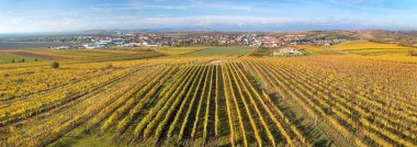Velke Pavlovice üzüm bağları panoramik manzara, gözcü kulesi Slunecna, Güney Moravya bölgesi, Çek Cumhuriyeti
