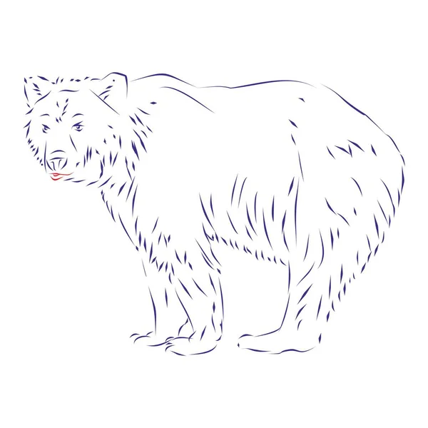 怒りの目で歩く可愛いクマの連続線描 手描きベクトルイラスト — ストックベクタ