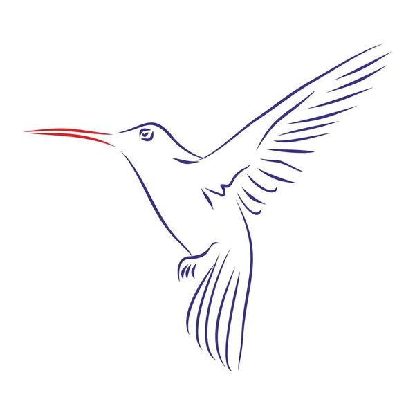 Непрерывный Линейный Рисунок Птицы Колибри Полете Крылья Открыты Ручной Рисунок — стоковый вектор