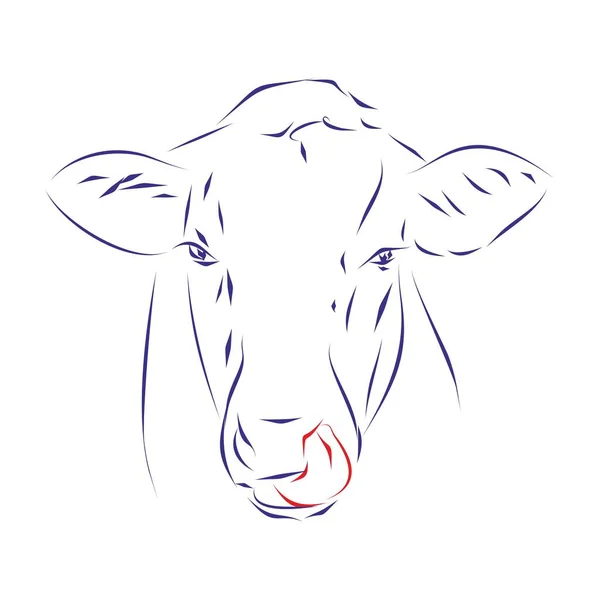 Continuous Line Drawing Cow Head Tongue Her Nose Hand Drawn — Stock Vector
