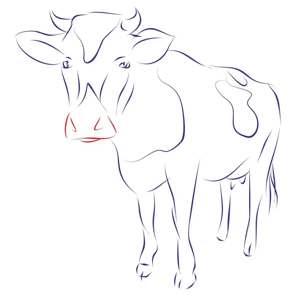 奶牛的连续画线 矢量图解 — 图库矢量图片