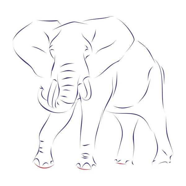 Kontinuerlig Ritning Söt Elefant Handritad Vektorillustration — Stock vektor