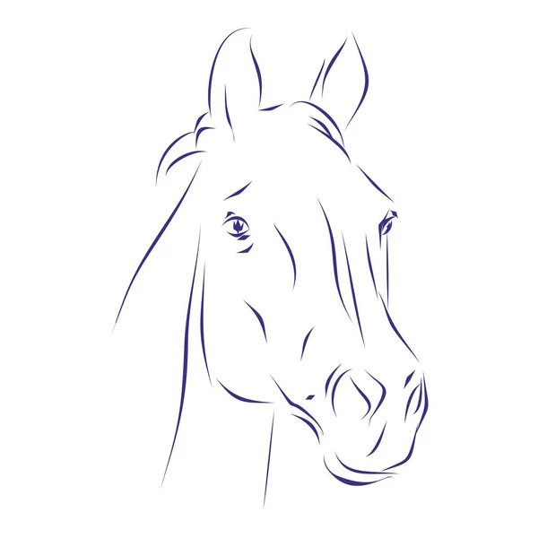Continuous Line Drawing Horse Head Hand Drawn Vector Illustration — Stock Vector