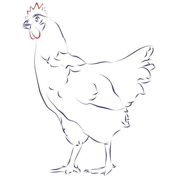 Непрерывный Рисунок Курицы Ручной Рисунок Векторная Иллюстрация — стоковый вектор