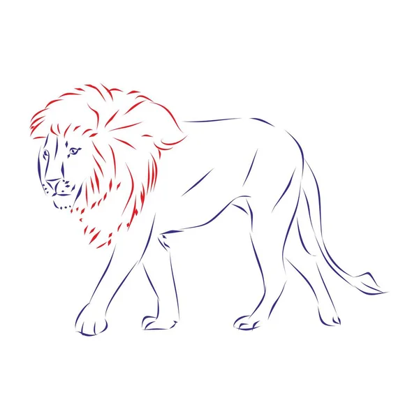 Kontinuierliche Linienzeichnung Eines Löwen Isoliert Auf Weißem Hintergrund Handgezeichnet Vektorillustration — Stockvektor