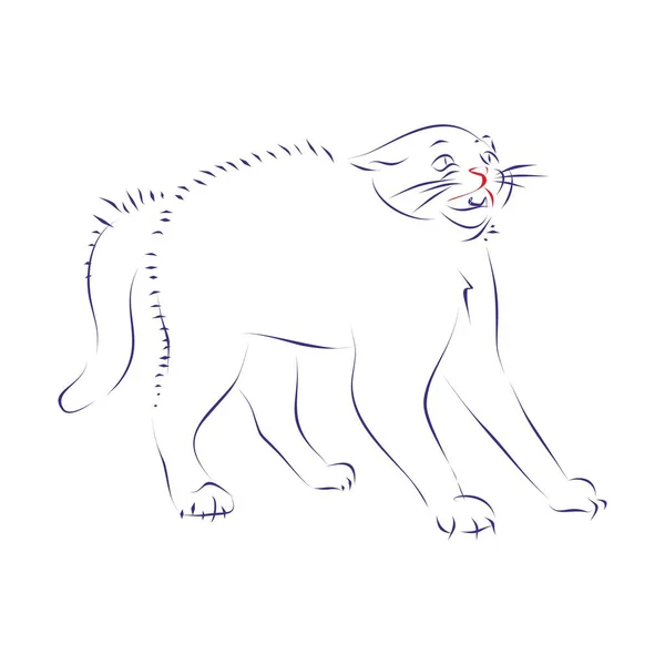 Korkak Bir Kedinin Durmaksızın Çizdiği Çizgi Çizimi Vektör Illüstrasyonu — Stok Vektör