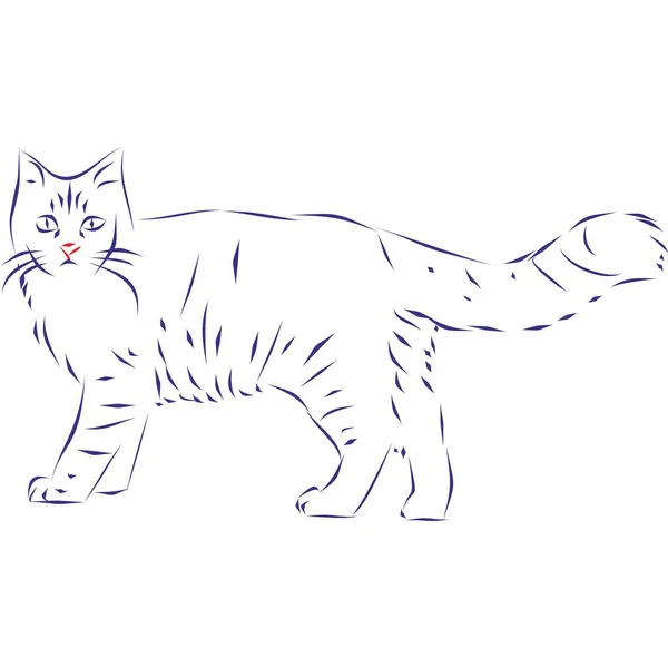 Безперервний Малюнок Дикої Кішки Малюнок Руки Векторні Ілюстрації — стоковий вектор