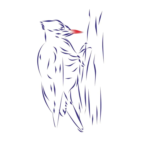 Непрерывный Рисунок Дятла Птицы Ударяющейся Клювом Кору Дерева Ручной Рисунок — стоковый вектор