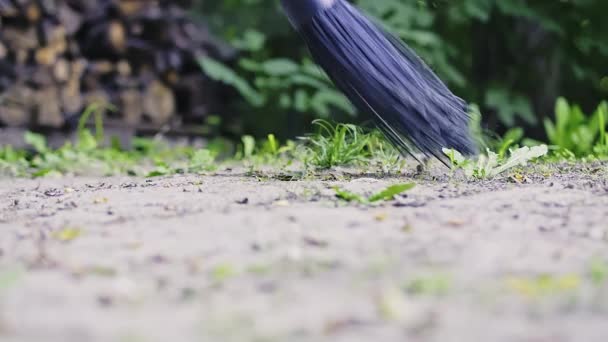 Garden Chores Footage Broom Sweeping Ground Garden Green Leaves Background — Stock videók
