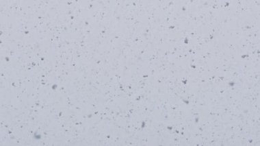 Ormandaki yoğun kar yağışı sırasında gökyüzünden büyük kar yığınları düşüyor. Yavaş çekim yüksek kalite 4k görüntü