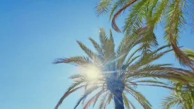 Palmiye ağaçlarının hızlı dönmesiyle İspanya 'da güneş mavisi gökyüzü parlıyor ve yapraklar rüzgarda sallanıyor. Geniş açı görüntüsü. Yüksek kalite 4K görüntü.