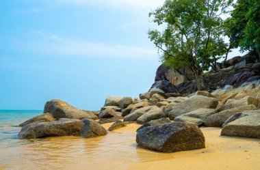 Güzel bir tropikal ada Bir yaz gününde
