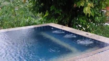 Yumuşak dalgalar ve sualtı kabarcıklarıyla dolu, yemyeşil ağaçlarla çevrili sakin havuz kenarı.