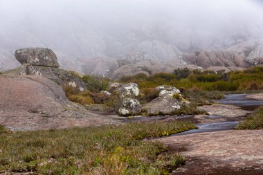 Andringitra national park, Haute Matsiatra region, Madagascar, beautiful mountain landscape, trail to high peak in mist and fog. Hiking in Andringitra mountains. Madagascar wilderness landscape.