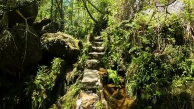 Hiking in rain forest stone stairs, pure unattached nature, Isalo national park. Beautiful unattached Madagascar wilderness exotic landscape.