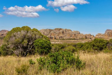 Isalo National Park in Ihorombe Region. Wilderness landscape with water erosion into rocky outcrops, plateaus, extensive plains and deep canyons. Beautiful Madagascar panorama landscape.