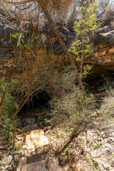 Mitoho洞穴 石灰石洞穴系统 生活着一种盲鱼 Typhleotris Madgani Cariensis Tsimanampetsotsa国家公园 马达加斯加荒原景观 — 图库照片