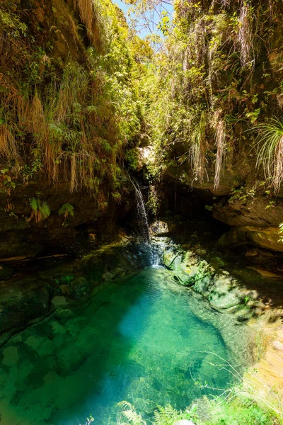 Kis Esőerdő Vízesés Tiszta Független Természet Gyönyörű Isalo Nemzeti Park — Stock Fotó