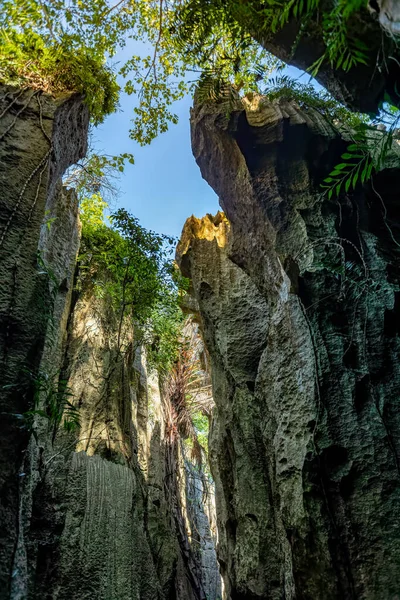 Narrow path between rocks in Petit Tsingy de Bemaraha, Strict Nature Reserve located near the western coast of Madagascar. UNESCO World Heritage.. Madagascar amazing wilderness landscape