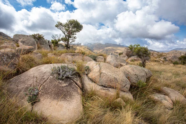 Parque Nacional Andringitra Región Alta Matsiatra Madagascar Hermoso Paisaje Montaña — Foto de Stock