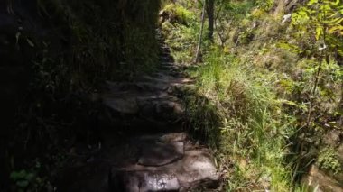 Hiking in rain forest stone stairs, pure unattached nature, Isalo national park. Beautiful unattached Madagascar wilderness exotic landscape.