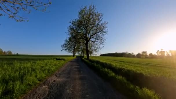 Pov Kilátás Békés Séta Egy Vidéki Úton Naplementekor Tavaszi Cseh — Stock videók