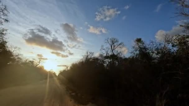 Une Voiture Panoramique Traverse Coucher Soleil Madagascar Passant Des Baobabs — Video