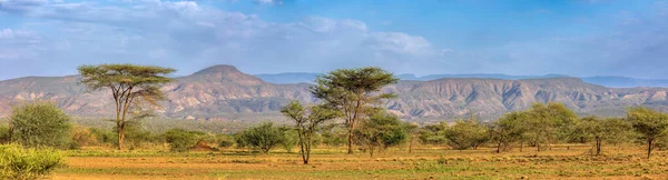 Panorama Del Parco Nazionale Awash Paesaggio Con Acacia Davanti Montagna — Foto Stock